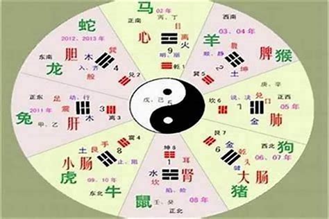 林字五行|林的五行属性是什么